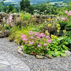 Lorton: bog garden 