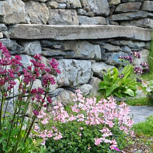 Lorton: stone bench 