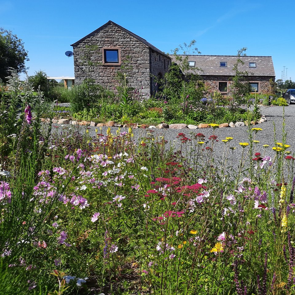 Creating a Cumbrian country garden